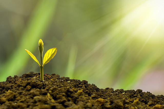 4Ms of Business Foundation series – Part 2: Managing Start-ups today