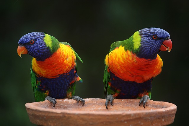 The Ultimate Colour Guide for Content Marketing